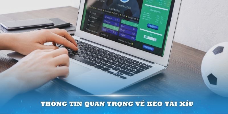 Kèo Tài Xỉu Là Gì? Cách Chơi Đơn Giản Bậc Nhất 2024 2 Am hiểu các thông tin quan trọng về kèo Tài Xỉu sẽ là lợi thế lớn dành cho bạn